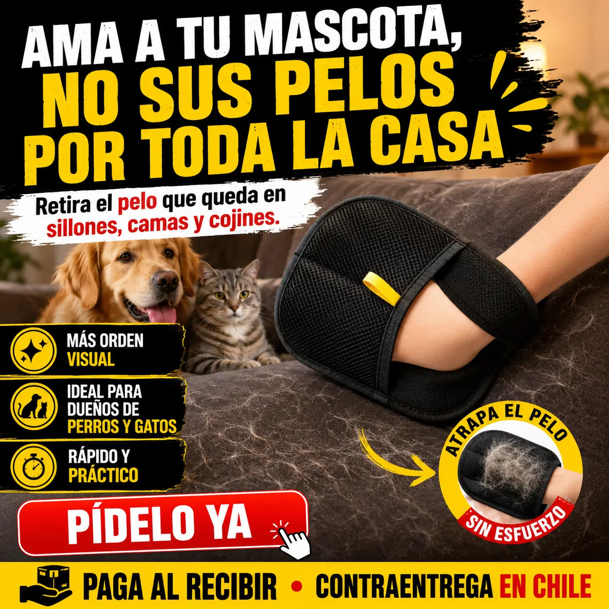 Guante Removedor de Pelo 2 en 1 - Negro TUS MASCOTAS MERECEN MOMENTOS INOLVIDABLES