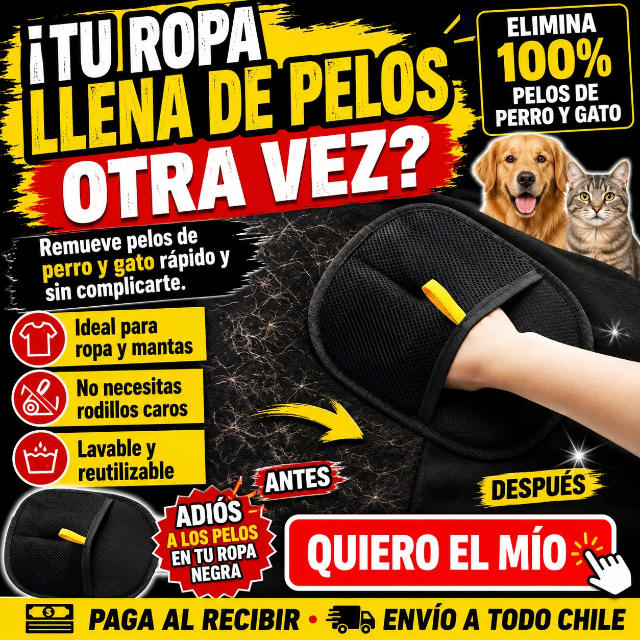 Guante Removedor de Pelo 2 en 1 - Negro TUS MASCOTAS MERECEN MOMENTOS INOLVIDABLES