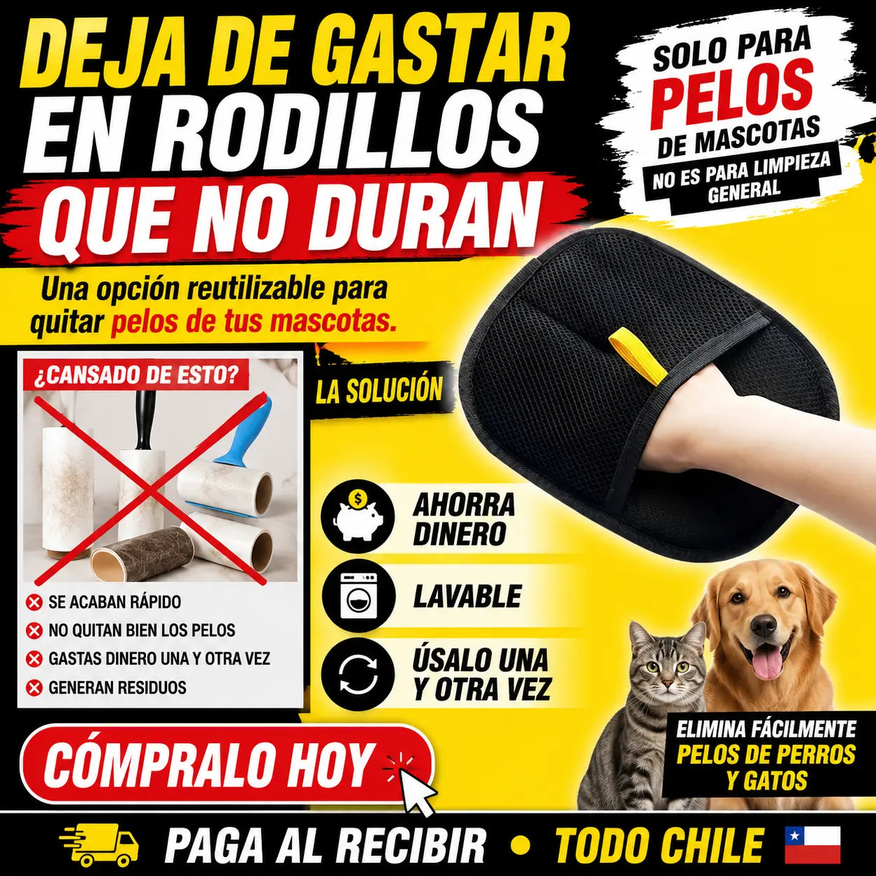 Guante Removedor de Pelo 2 en 1 - Negro TUS MASCOTAS MERECEN MOMENTOS INOLVIDABLES